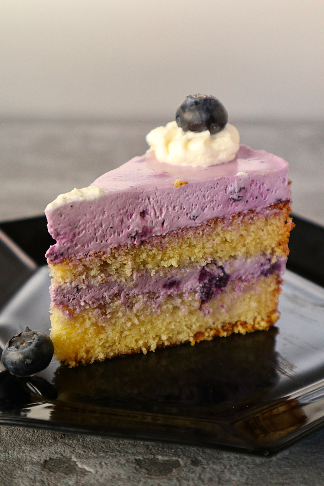 Glutenfreie Quark-Joghurt-Torte mit Blaubeeren - Histaminhexe