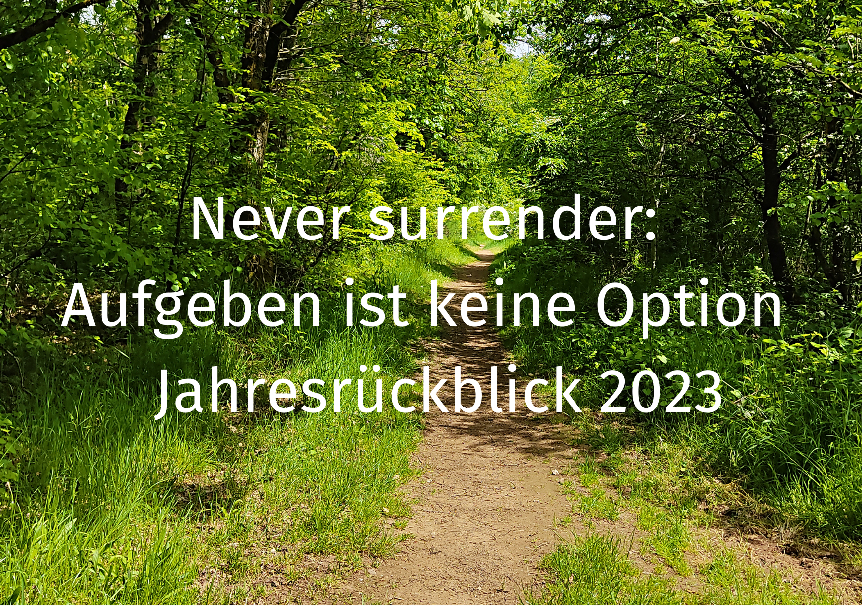 Never surrender: Aufgeben ist keine Option – Jahresrückblick 2023